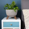 A plant pot with a plant on a nightstand next to a bed. Náhľad obrázku produktu