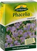 Phacelia 300 g |  Phaceliasamen von Quedlinburger Produktbild-Vorschau 1