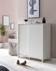 A white shoe cabinet with sliding doors is shown in a room with pink walls and a plant. Two brown high-heeled shoes are placed on a rug in front of the cabinet. Náhled obrázku produktu
