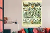 MuchoWow® Poster Tiere - Vintage - Adolphe Millot - Vögel - Produktbild-Vorschau 3