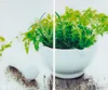 A split image showing a mortar and pestle with fresh herbs. Náhľad obrázku produktu