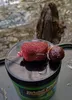 SuperFeed Pure Oil Fruit Set - 3 Stück Produktbild-Vorschau 10