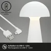 Lampe de table LED rechargeable Lampe de table pour Voir les images du produit 7