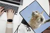 MuchoWow® Laptop Hülle 14 ZollAlpaka - Tier - Lebensmittel Produktbild-Vorschau 2