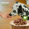 Kamel-Würfel 100g Produktbild-Vorschau 3