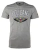 T-Shirt NBA New Orleans Pelicans New Era Team logo Gris Voir les images du produit 1