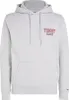 Herren Graues Kapuzen-Sweatshirt aus Baumwolle mit Print & Produktbild-Vorschau 3
