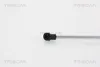 Gasfeder Koffer-/Laderaum Hub 195 mm 550 N TRISCAN für u.a. Produktbild-Vorschau 6