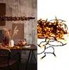 Eglo LED Lichterkette Golden Warm White IP44 innen & außen Produktbild-Vorschau 1