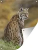 MuchoWow® Produktbild-Vorschau 1
