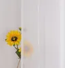 A close-up of a sunflower in a vase, partially obscured by a sheer white curtain. Produktbild-Vorschau