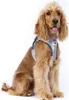 Curli Glow Clasp Vest harnais gris réfléchissant XL Voir les images du produit 12