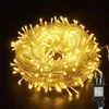 A coiled string of warm white LED lights with a black power adapter. Náhled obrázku produktu