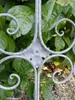 Dekofenster Shabby Chic Anteprima dell’immagine prodotto 7