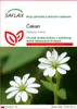 SAFLAX - čakan - Stellaria media - 1000 Semená Náhľad obrázku produktu 1