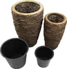 2 kefky kokosové vetvy 45+55cm - kvetináč Náhľad obrázku produktu 2