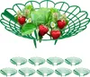Relaxdays Maturatore per fragole, set da 10 pezzi, Anteprima dell’immagine prodotto 1