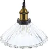 A close-up studio shot of a pendant light fixture. Náhled obrázku produktu