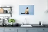 MuchoWow® Poster Eine Siamkatze in einem blauen Atelier Produktbild-Vorschau 3
