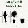 Olivovník v kvetináči keramickom Provencelia Jadeitová Náhľad obrázku produktu 6