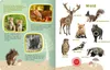 Mein großes Buch der Tiergeräusche Podgląd zdjęcia produktu 3