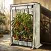 A greenhouse structure with pepper plants growing inside, placed on a tiled patio. Produktbild-Vorschau