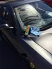 4 Stück Innotec Foam Glass Clean Plus - Produktbild-Vorschau 4