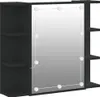 vidaXL Zrcadlová skříňka s LED černá 70x16,5x60 cm Náhled obrázku produktu 1