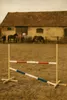 Hobby Horse Hurdle 160 cm, 120 cm - Rouge et Bleu avec Voir les images du produit 11
