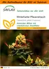 SAFLAX - Garden in the Bag - Winterharter Pfauenstrauch - Produktbild-Vorschau 1