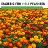 Studentenblumen Bonita Mischung Samen - Tagetes patula - Produktbild-Vorschau 6