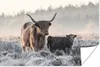 MuchoWow® Poster Schottisches Hochlandrind - Kalb - Tiere Produktbild-Vorschau 1