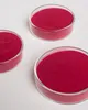 500 g Acai Pulver | Beere | Acaipulver | Superfood Beeren | Produktbild-Vorschau 2