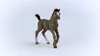 schleich HORSE CLUB 13957, 5 Jahr(e), Horses, Braun Produktbild-Vorschau 6