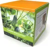 Anzuchtset Gurken | Anzuchtsets für Werbezwecke von FLORTUS Produktbild-Vorschau 1