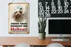 Blechschild Hund 20x30cm dieses Haus bewacht ein Malteser Produktbild-Vorschau 5
