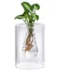 Dehner Waterplant Purpurtute, Syngonium podophyllum Arrow, Produktbild-Vorschau 1
