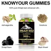 Shilajit Gold Gummies 3000mg (60 orsetti gommosi) Anteprima dell’immagine prodotto 6