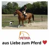 AMKA DRESSUR Filzsatteldecke Noblessa Satteldecke aus Filz Produktbild-Vorschau 6