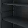 Close-up view of the interior of a dark gray metal cabinet, showing shelves and support holes. Produktbild-Vorschau
