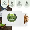 Koriandersamen - Küchenkräuter Saatgut aus biologischem Produktbild-Vorschau 4