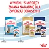 Royal Canin Maxi Puppy 10x140g Produktbild-Vorschau 12