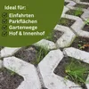 Samenshop24® DSV530 Schotterrasen 10kg für 400m² Produktbild-Vorschau 5