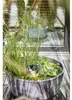 Solar Wassergarten AQUATOPIA inkl. Wasserspielpumpe - Produktbild-Vorschau 12