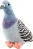 Uni-Toys - Gołąb - 20 cm (wysokość) - Pluszowy ptak - Podgląd zdjęcia produktu 7