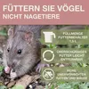 Vogel-Futtersilo SMART BIRDS Davos staubiges Rosa Produktbild-Vorschau 4