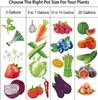 Merco Grow Bag 57L Textile Planter Pack of 1 Voir les images du produit 4