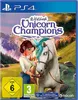 Wildshade: Unicorn Champions [PS4] USK/PEGI Produktbild-Vorschau 8