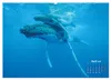 Buckelwale: Aus den blauen Tiefen der Ozeane (Wandkalender Produktbild-Vorschau 7