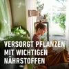 COMPO Blumendünger mit Guano 1,3 l Produktbild-Vorschau 3